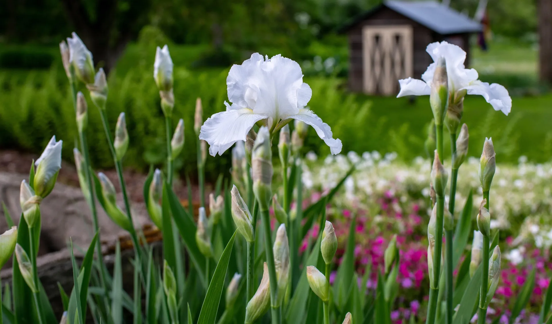 1099 Lilliesvillle Brook Road Bethel VT 05032