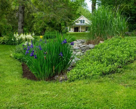 1099 Lilliesvillle Brook Road Bethel VT 05032