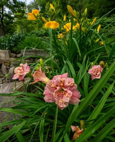 1099 Lilliesvillle Brook Road Bethel VT 05032
