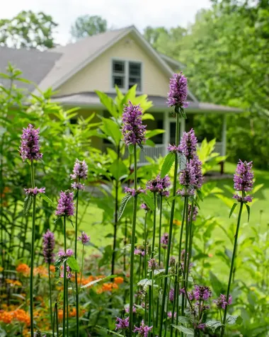 1099 Lilliesvillle Brook Road Bethel VT 05032