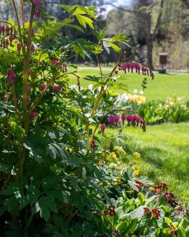 1099 Lilliesvillle Brook Road Bethel VT 05032