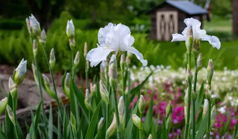 1099 Lilliesvillle Brook Road Bethel VT 05032