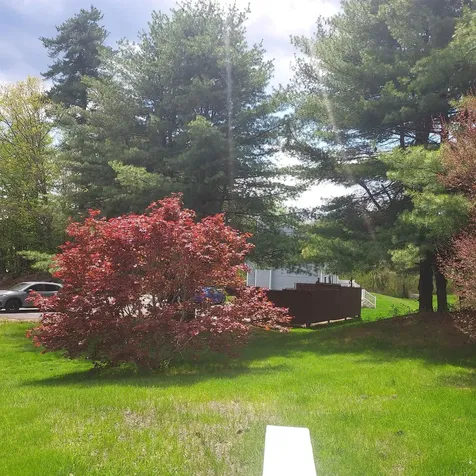 66 Preston Street Hillsborough NH 03244