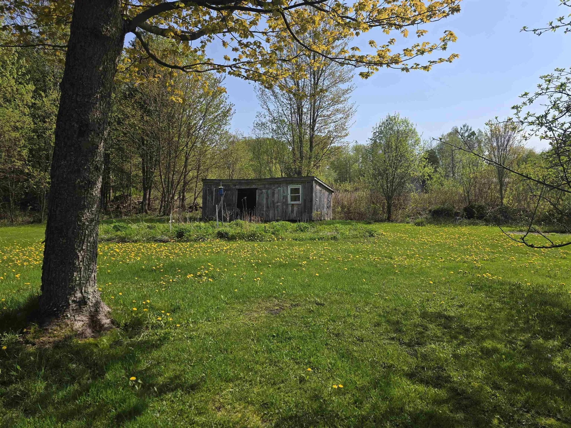 369 Bushey Hill Road Derby VT 05829