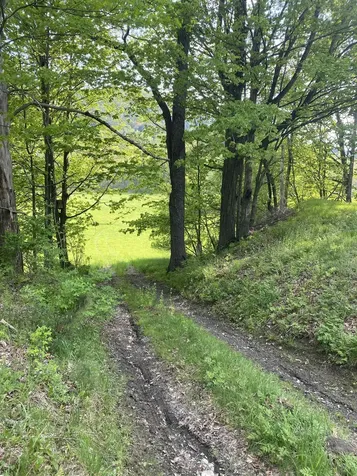 13 Happy Hollow Road Royalton VT 05068