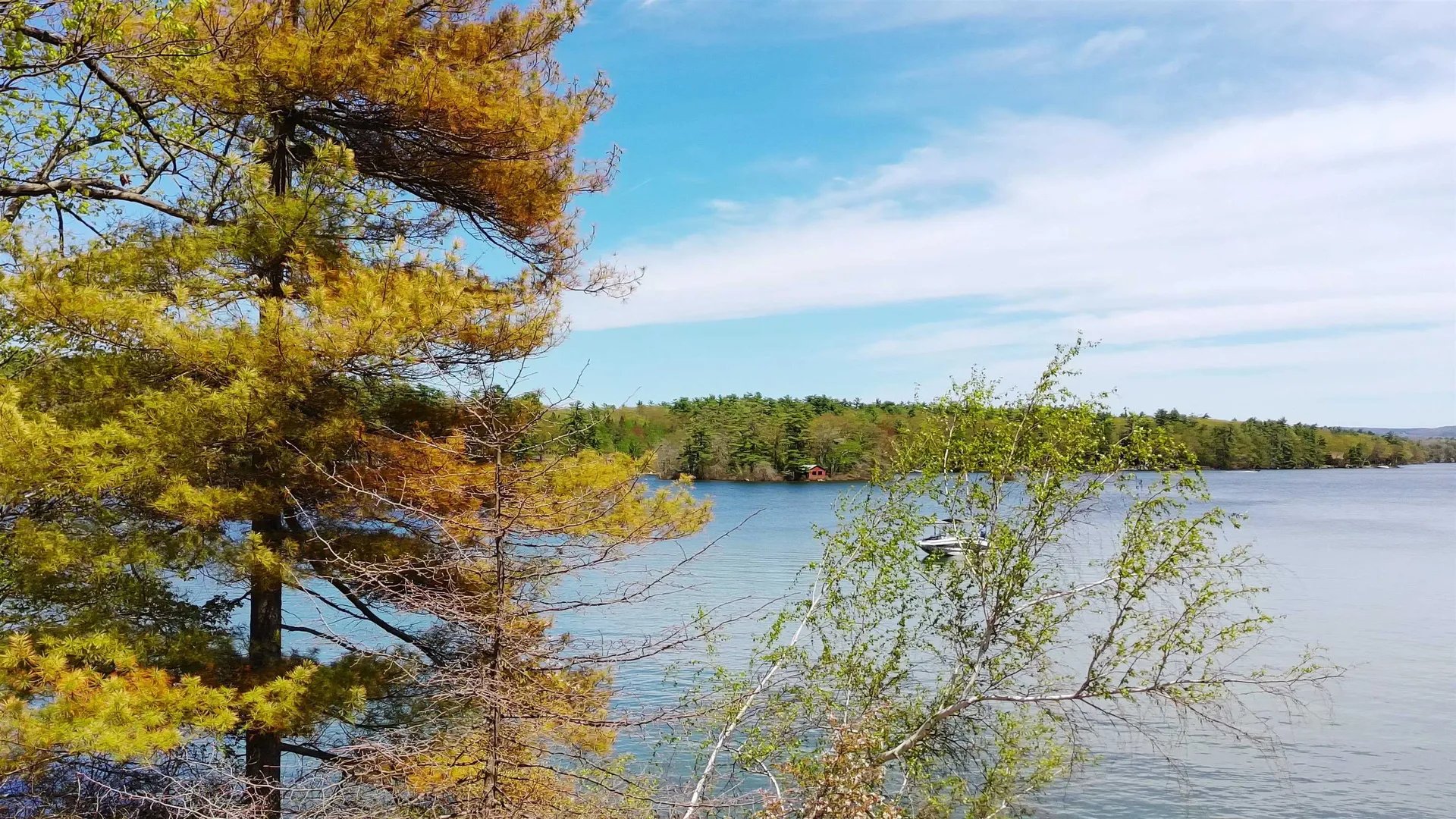 34 Tall Pine Road Moultonborough NH 03254