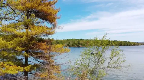 34 Tall Pine Road Moultonborough NH 03254
