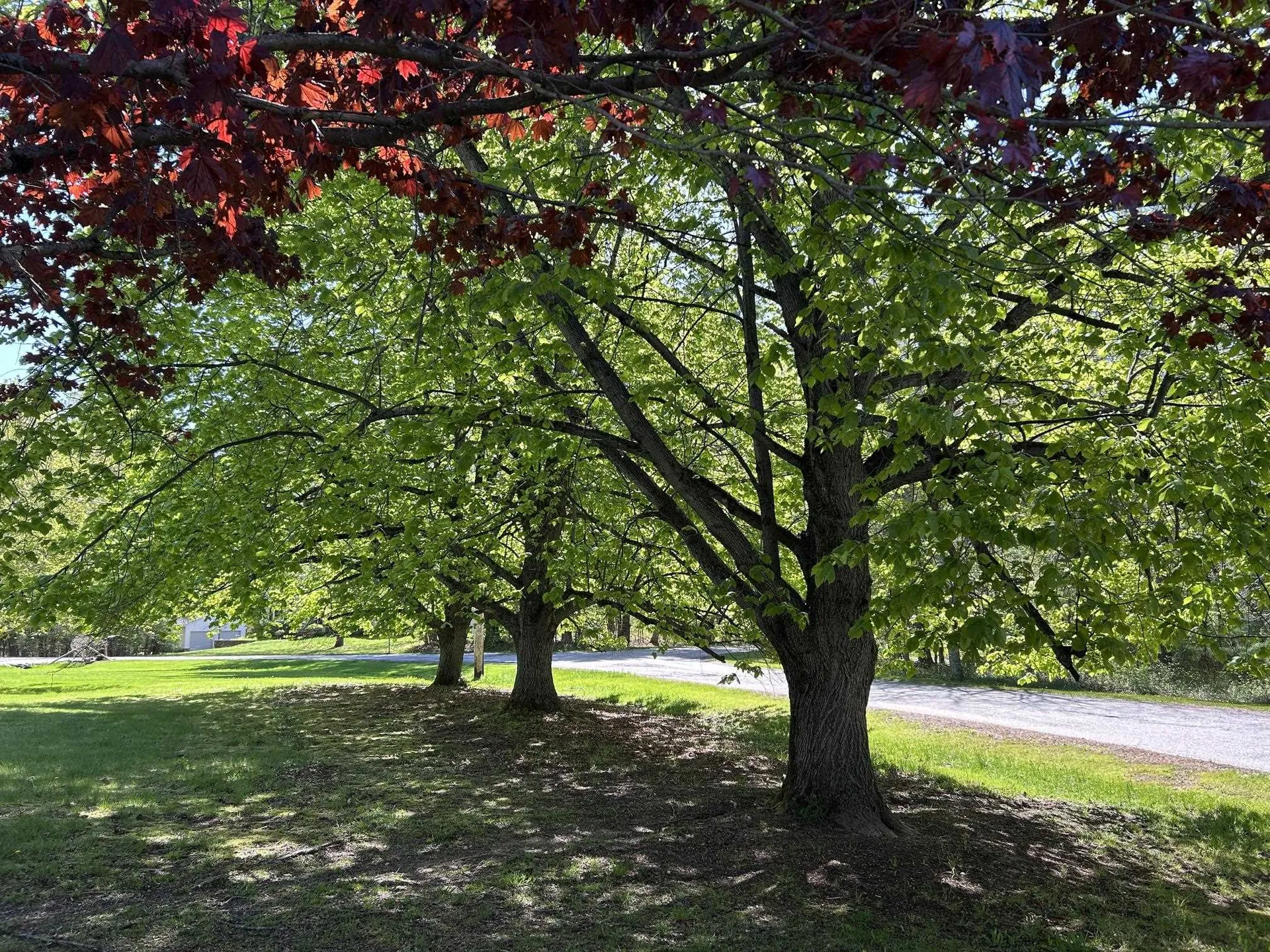 9 Oak Ridge Road Kensington NH 03833