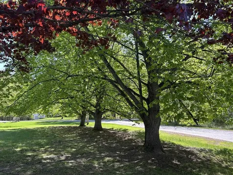 9 Oak Ridge Road Kensington NH 03833