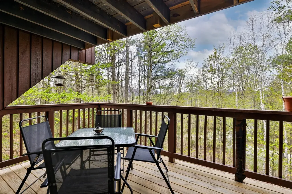 208 Great Hawk Road Rochester VT 05767