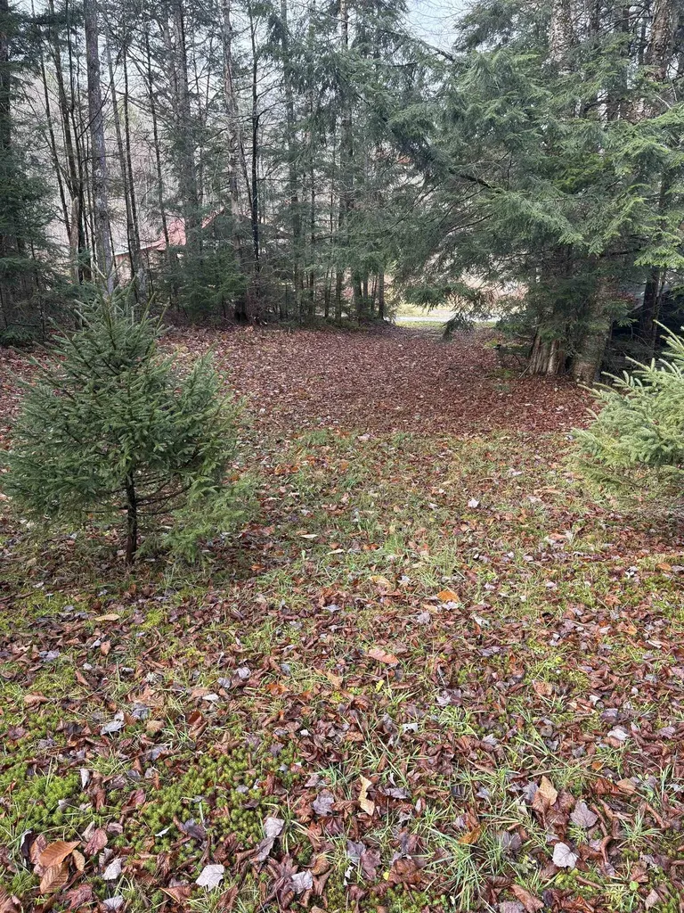 559 Corporation Road Rochester VT 05767