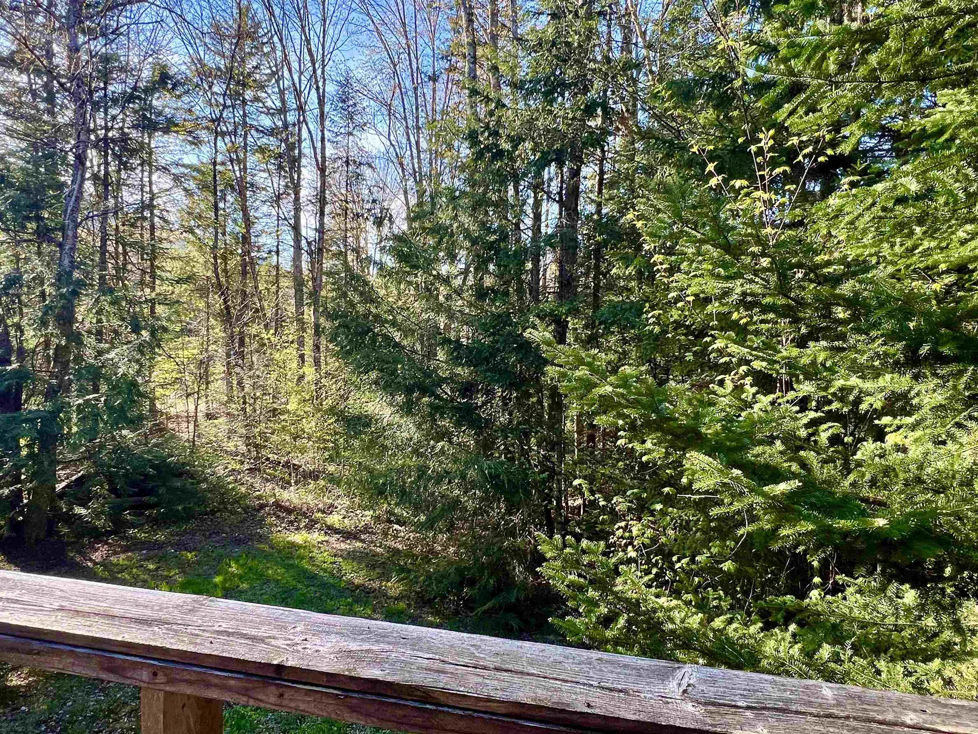 559 Corporation Road Rochester VT 05767
