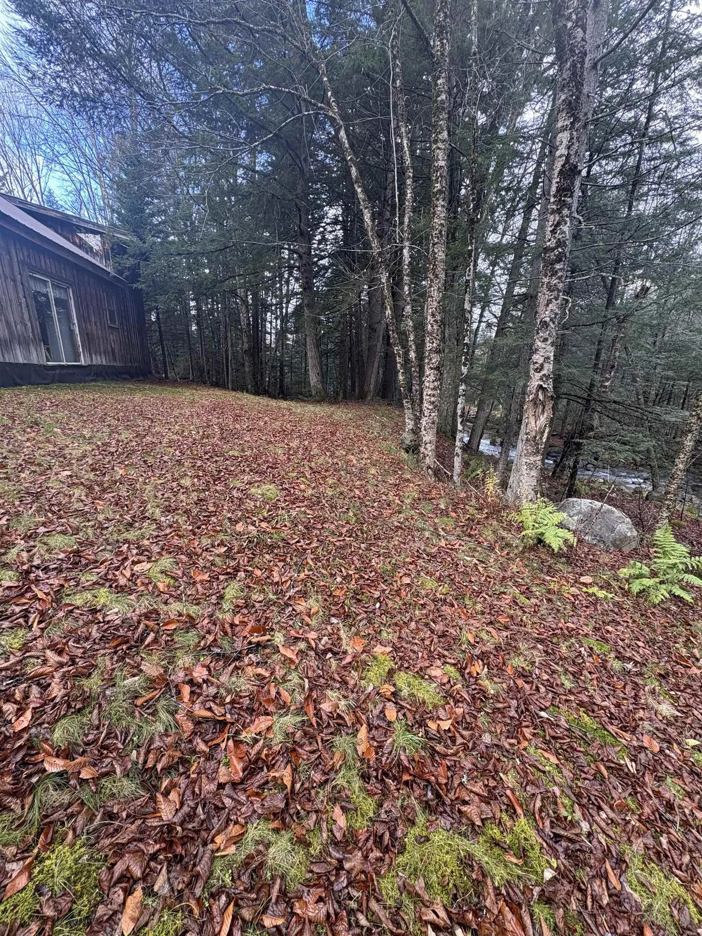 559 Corporation Road Rochester VT 05767