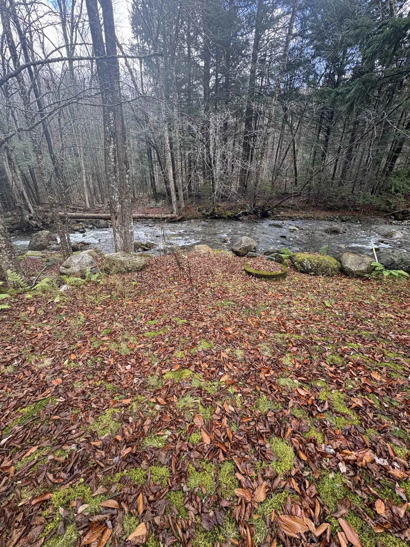 559 Corporation Road Rochester VT 05767