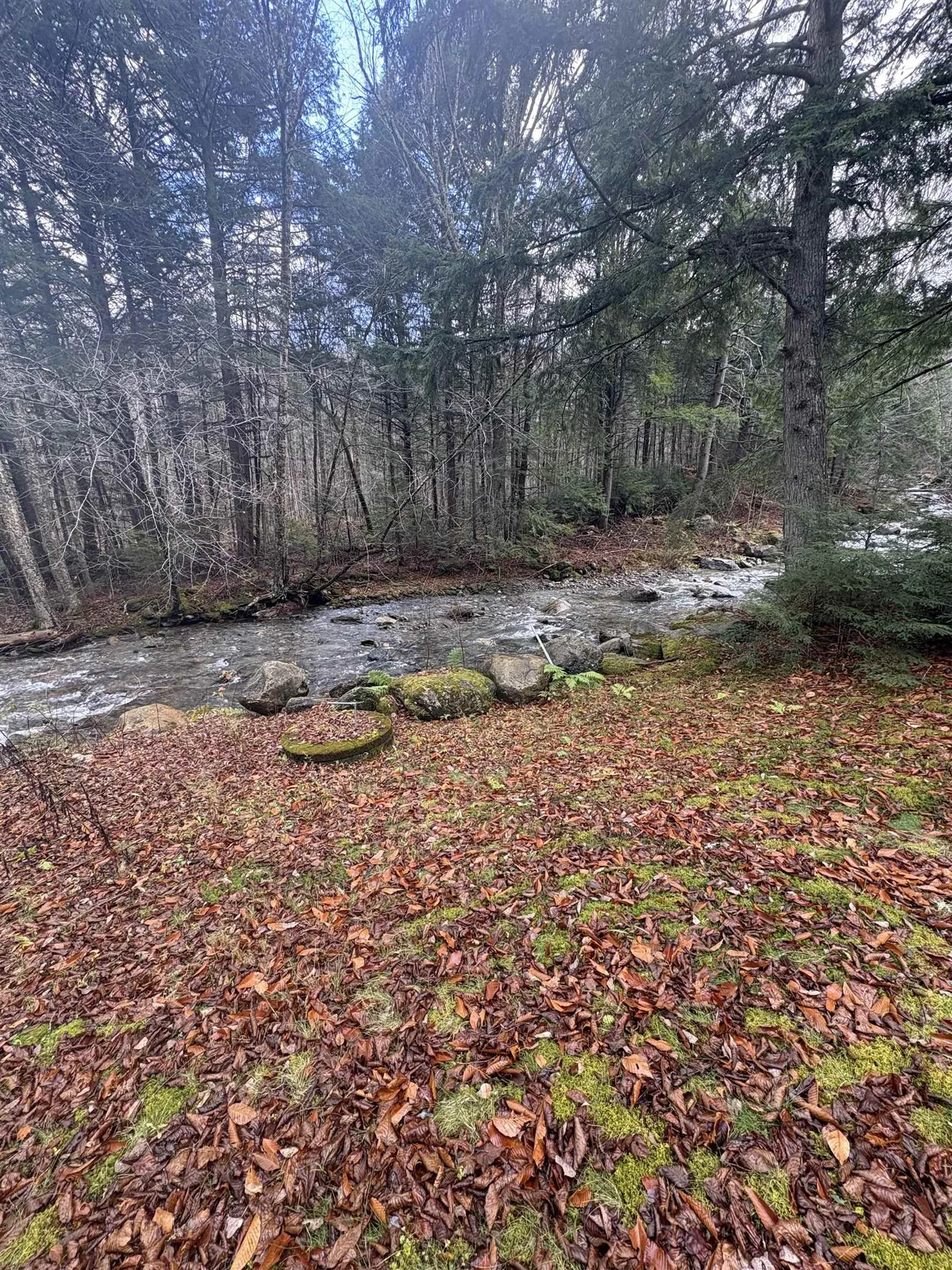 559 Corporation Road Rochester VT 05767