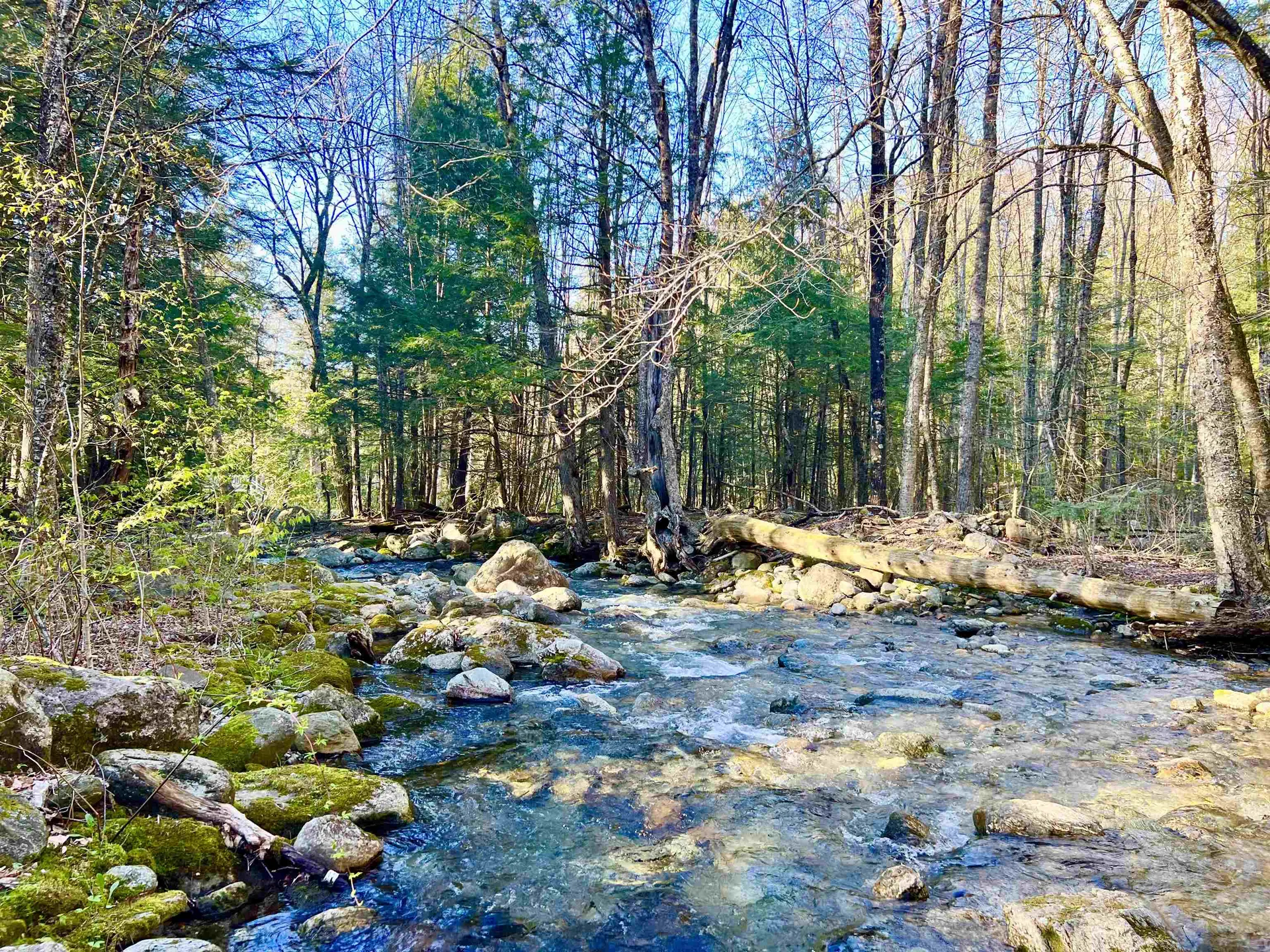 559 Corporation Road Rochester VT 05767