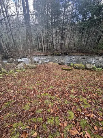 559 Corporation Road Rochester VT 05767