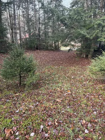 559 Corporation Road Rochester VT 05767