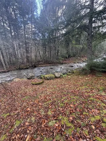 559 Corporation Road Rochester VT 05767