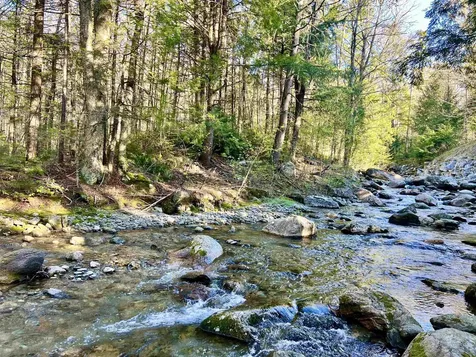 559 Corporation Road Rochester VT 05767
