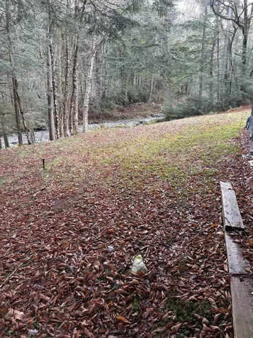 559 Corporation Road Rochester VT 05767