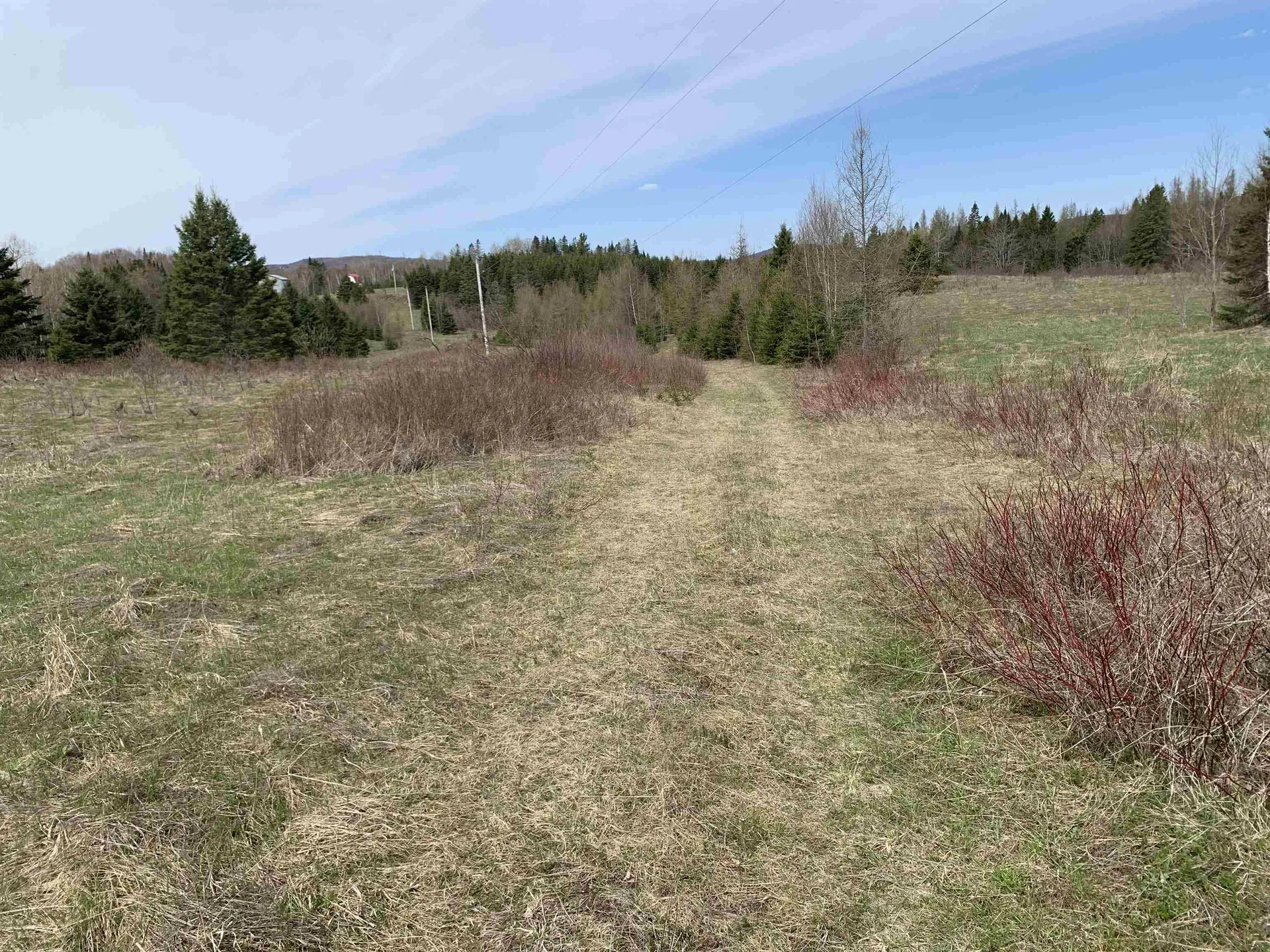 53 North Hill Road Stewartstown NH 03597