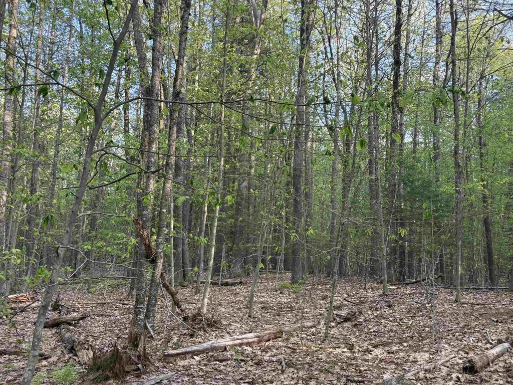 Lot 80 Currier Road Candia NH 03034