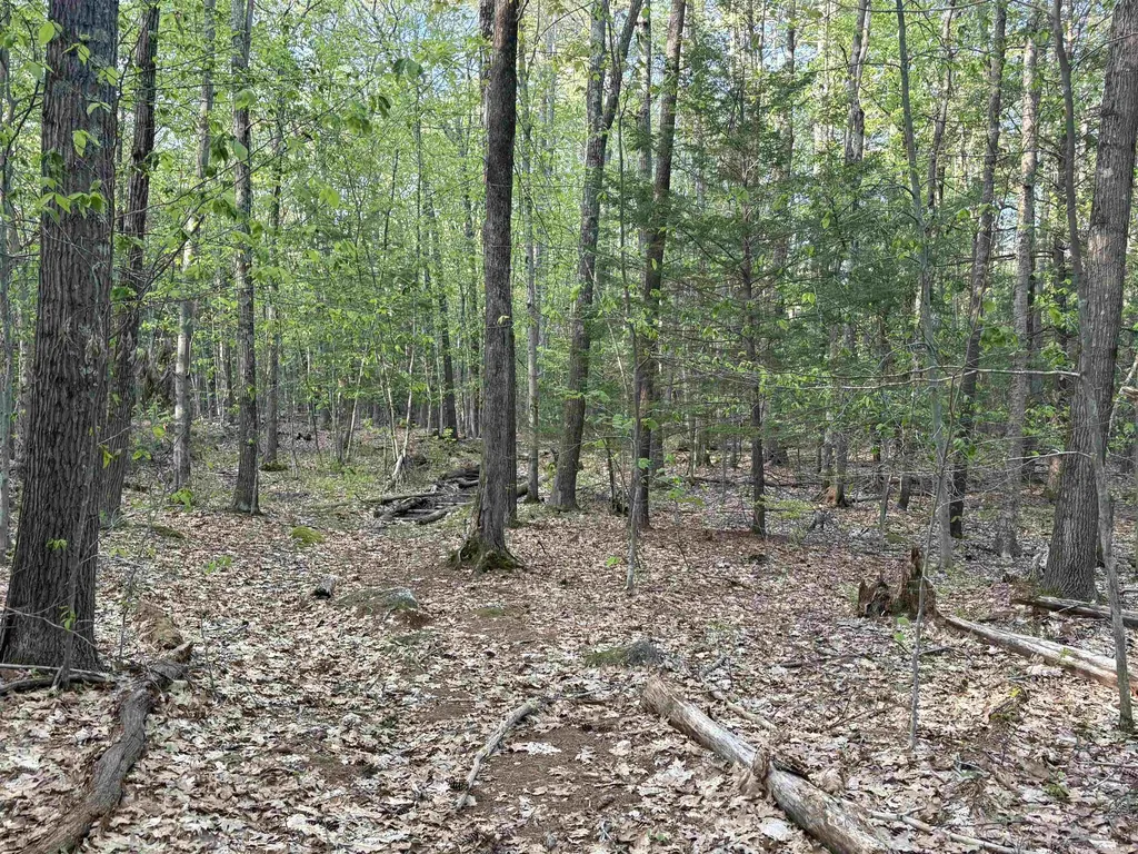 Lot 80 Currier Road Candia NH 03034