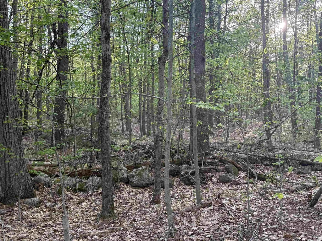 Lot 80 Currier Road Candia NH 03034