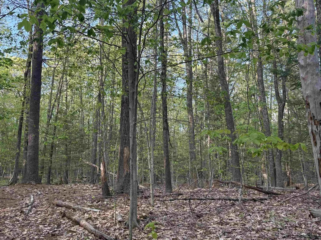 Lot 80 Currier Road Candia NH 03034