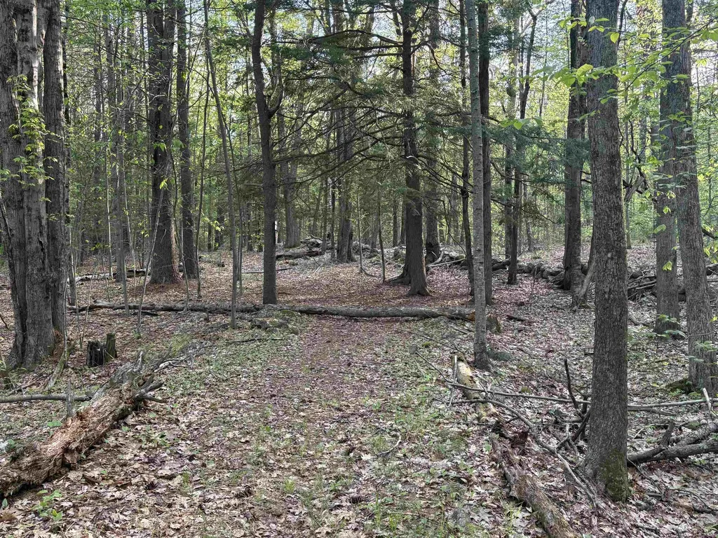 Lot 80 Currier Road Candia NH 03034