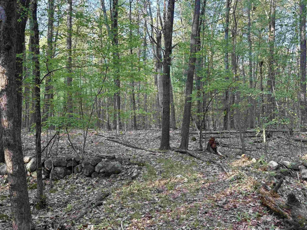 Lot 80 Currier Road Candia NH 03034