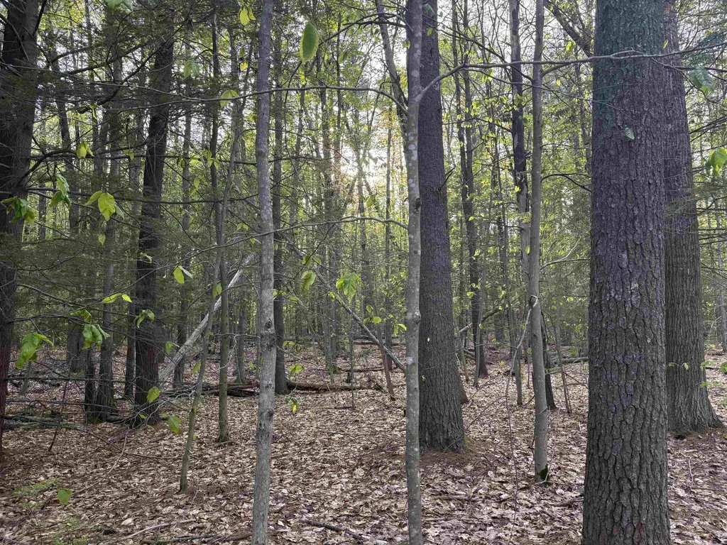 Lot 80 Currier Road Candia NH 03034