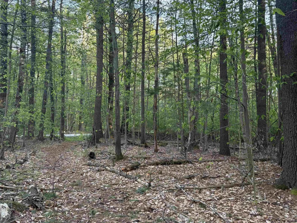 Lot 80 Currier Road Candia NH 03034