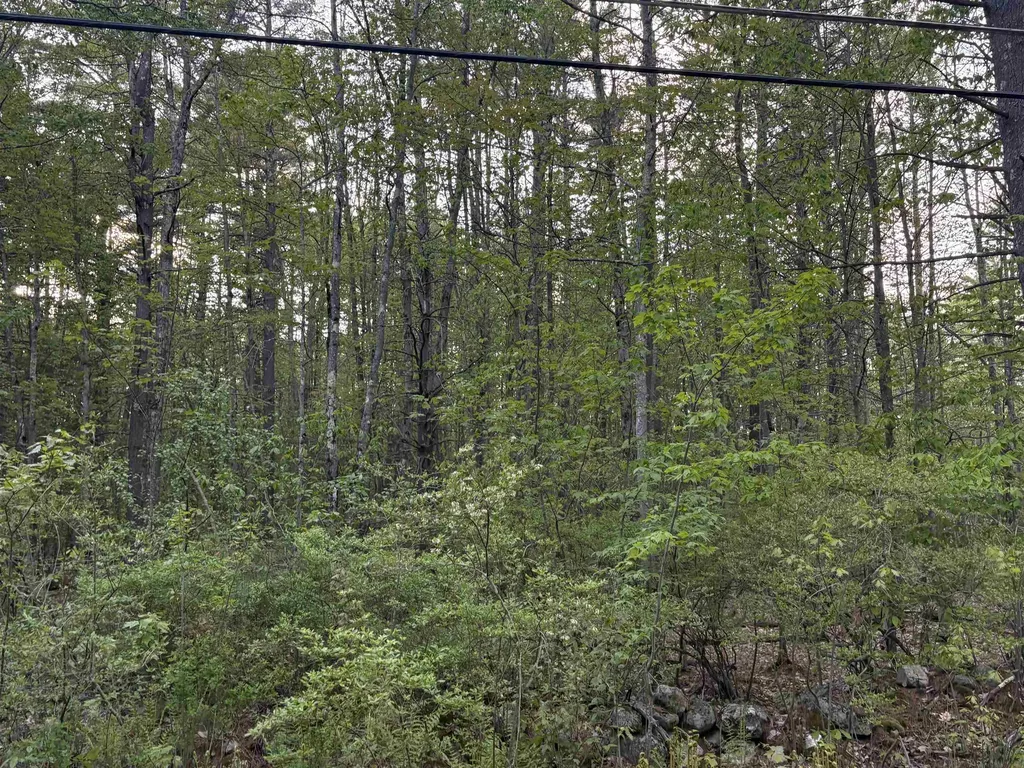 Lot 80 Currier Road Candia NH 03034