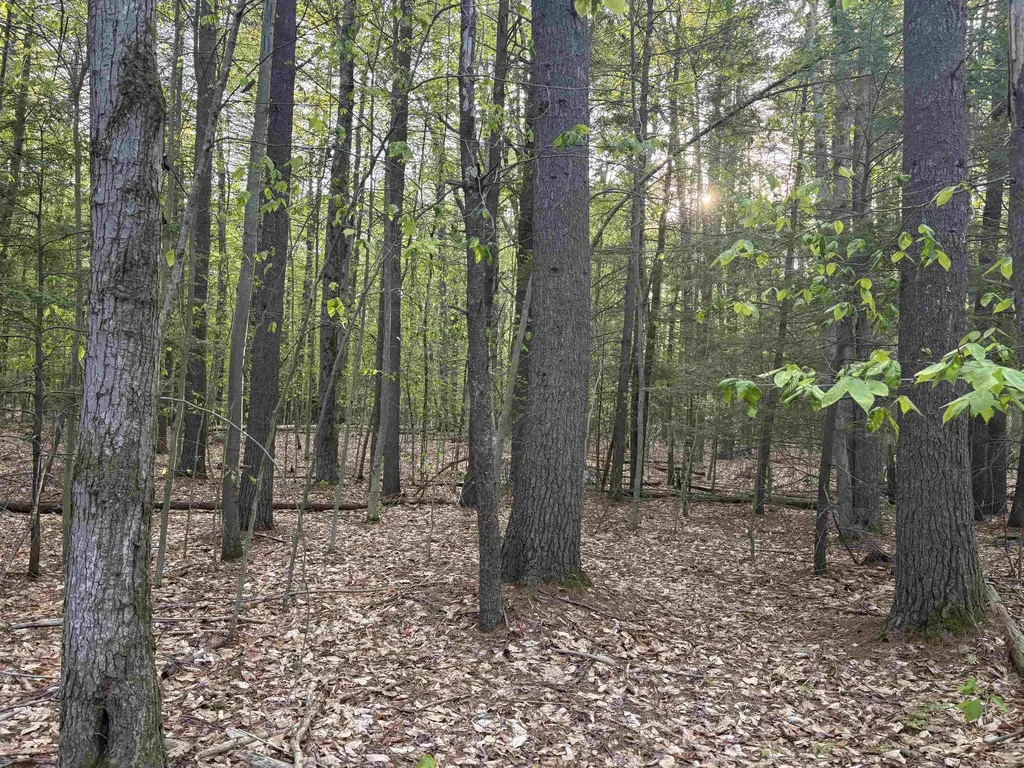 Lot 80 Currier Road Candia NH 03034