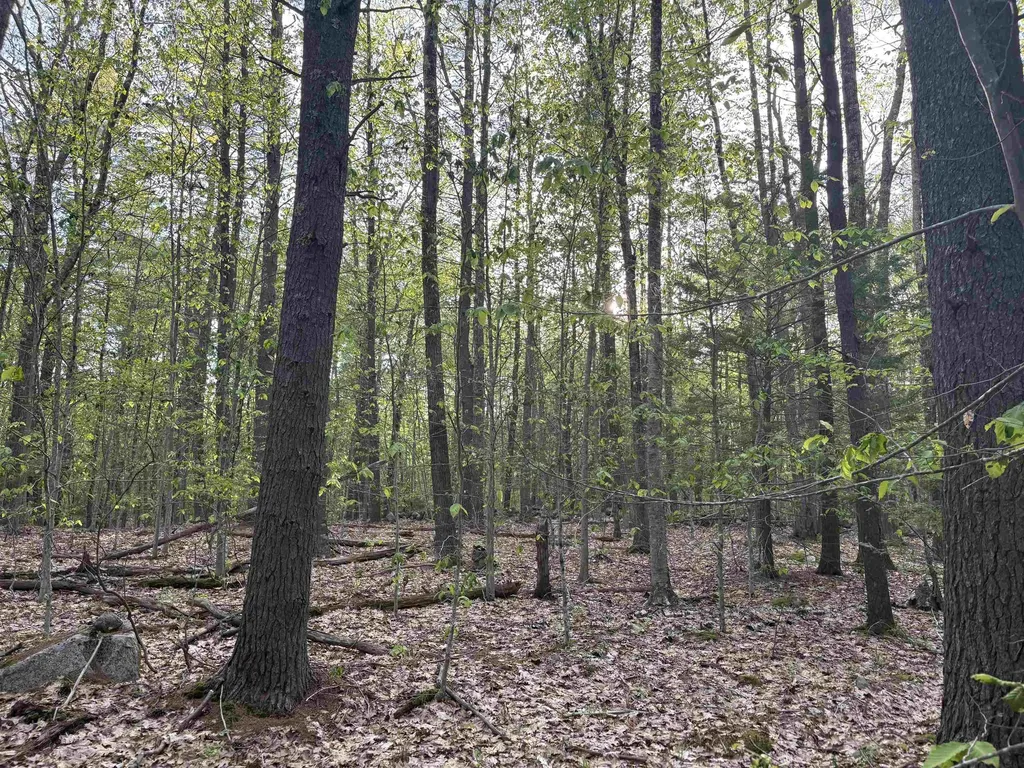 Lot 80 Currier Road Candia NH 03034