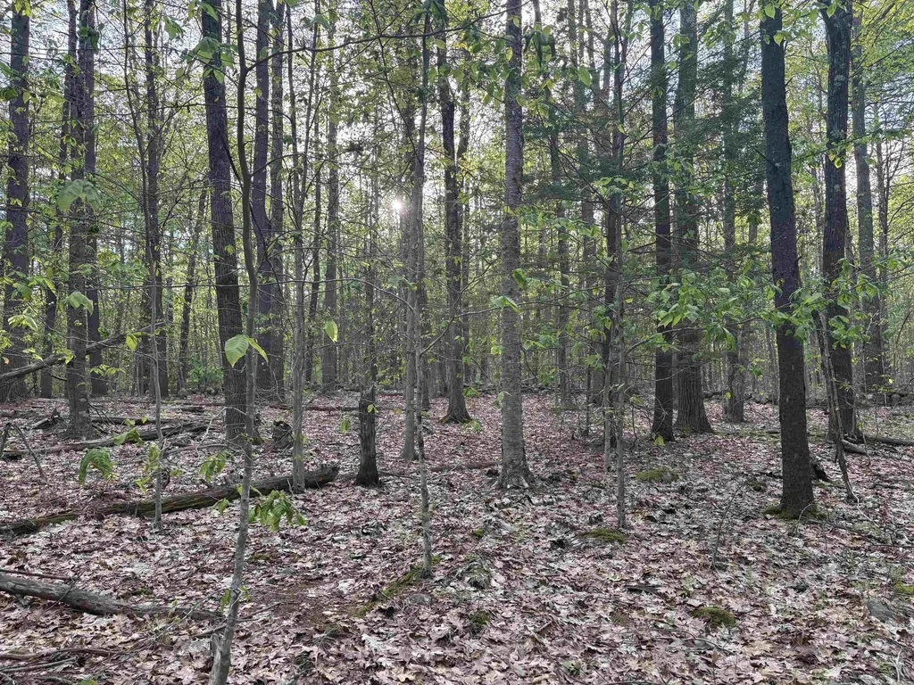 Lot 80 Currier Road Candia NH 03034