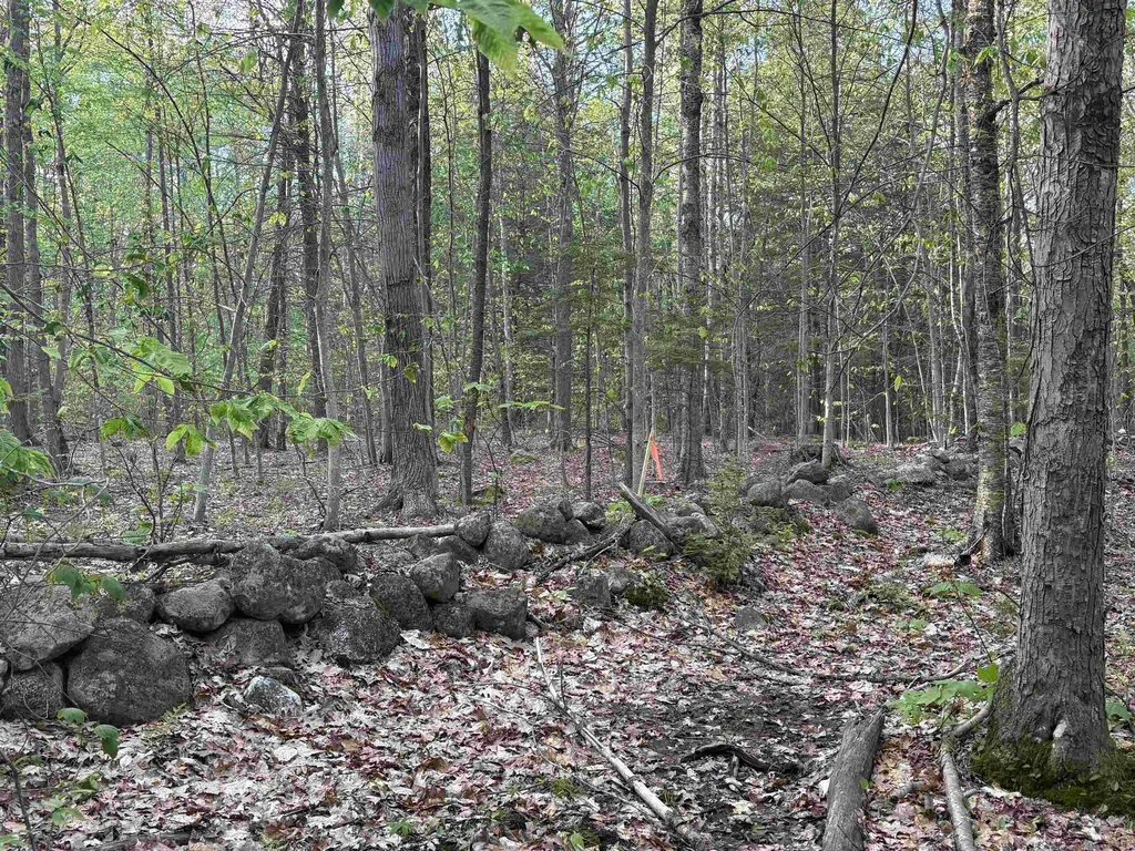Lot 80 Currier Road Candia NH 03034