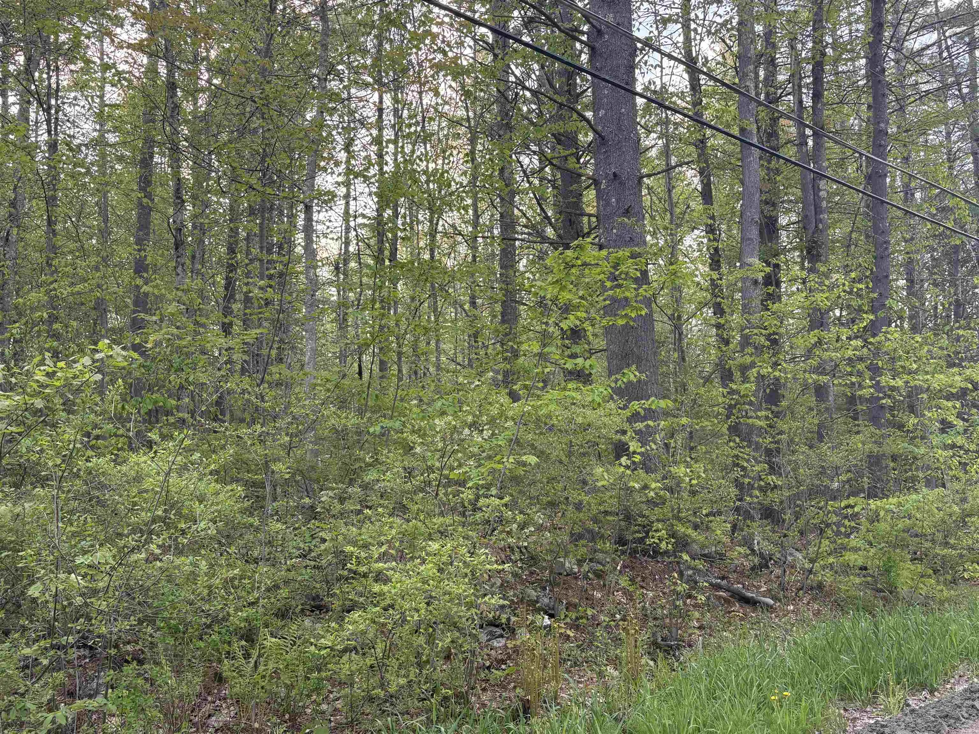 Lot 80 Currier Road Candia NH 03034