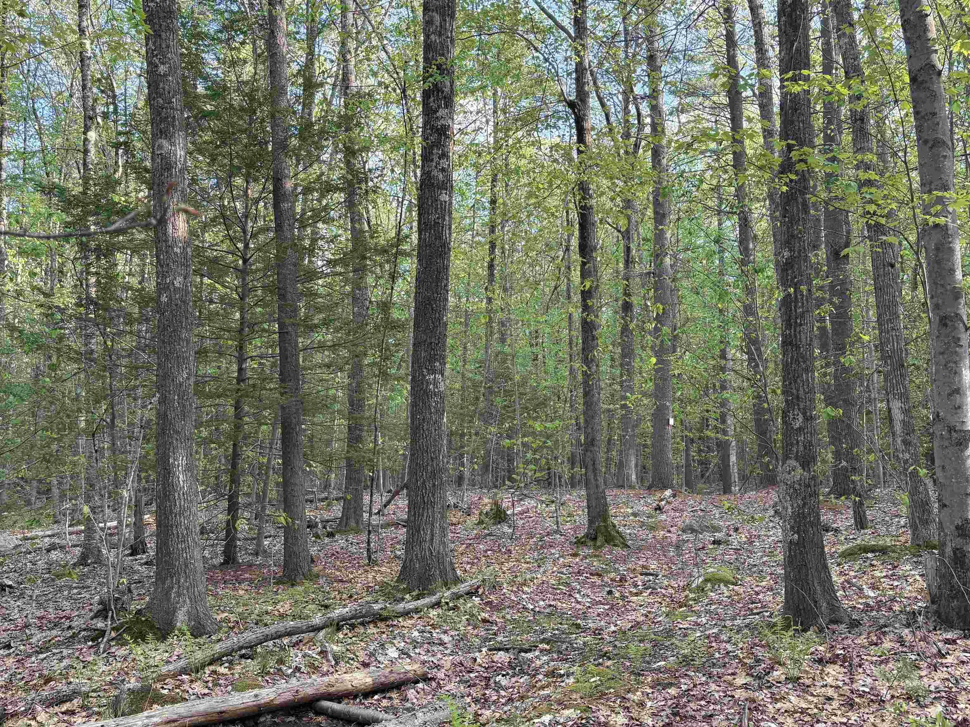 Lot 80 Currier Road Candia NH 03034