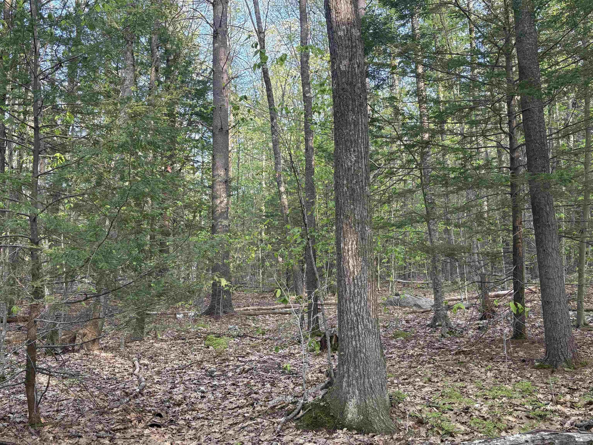 Lot 80 Currier Road Candia NH 03034