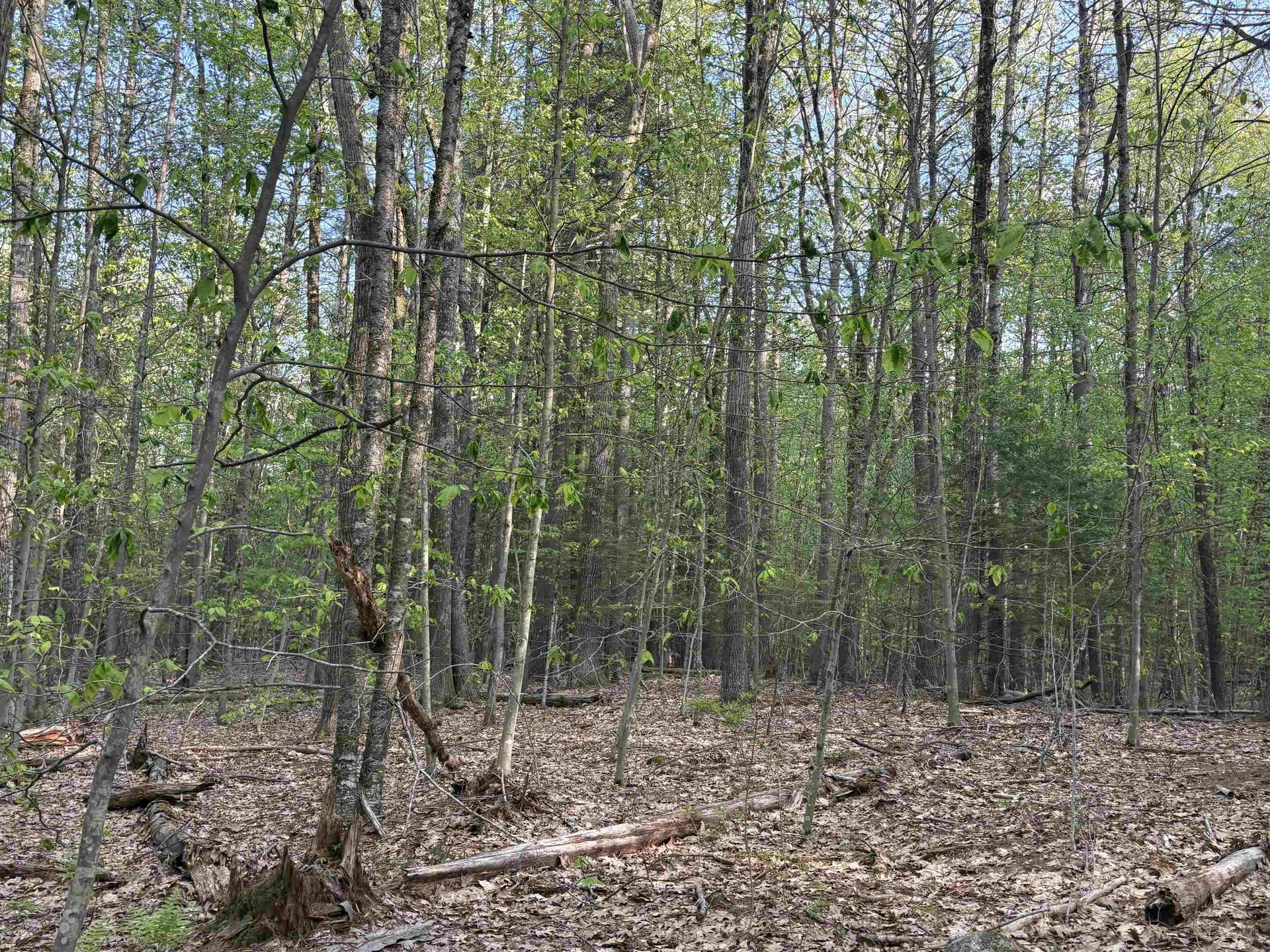 Lot 80 Currier Road Candia NH 03034