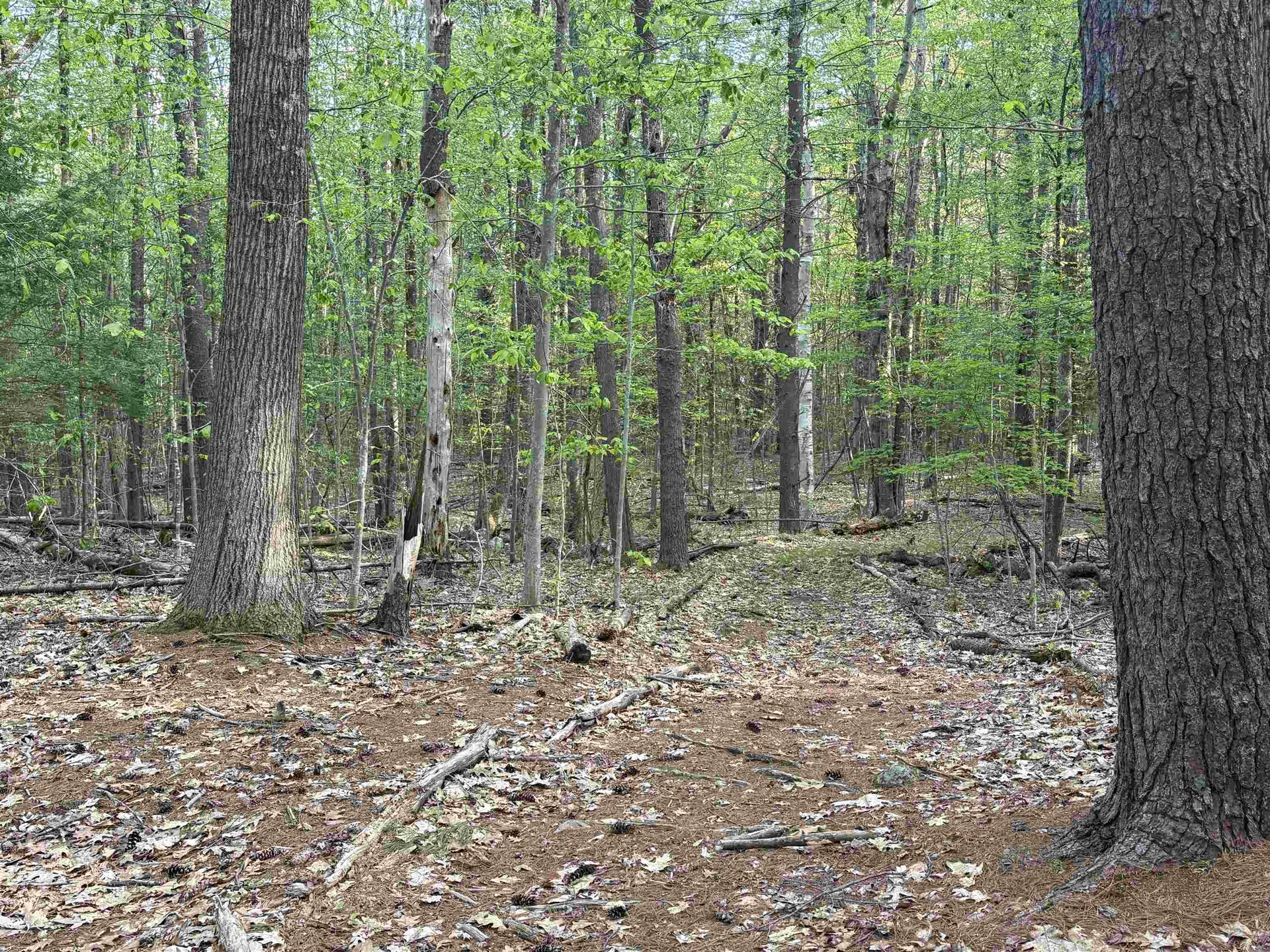 Lot 80 Currier Road Candia NH 03034