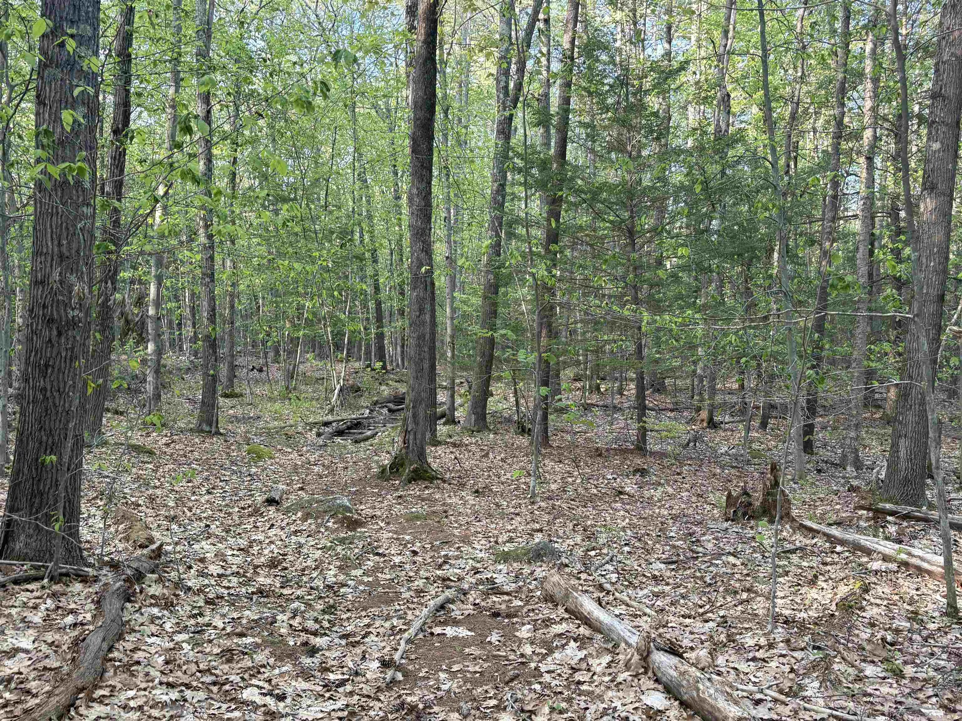 Lot 80 Currier Road Candia NH 03034