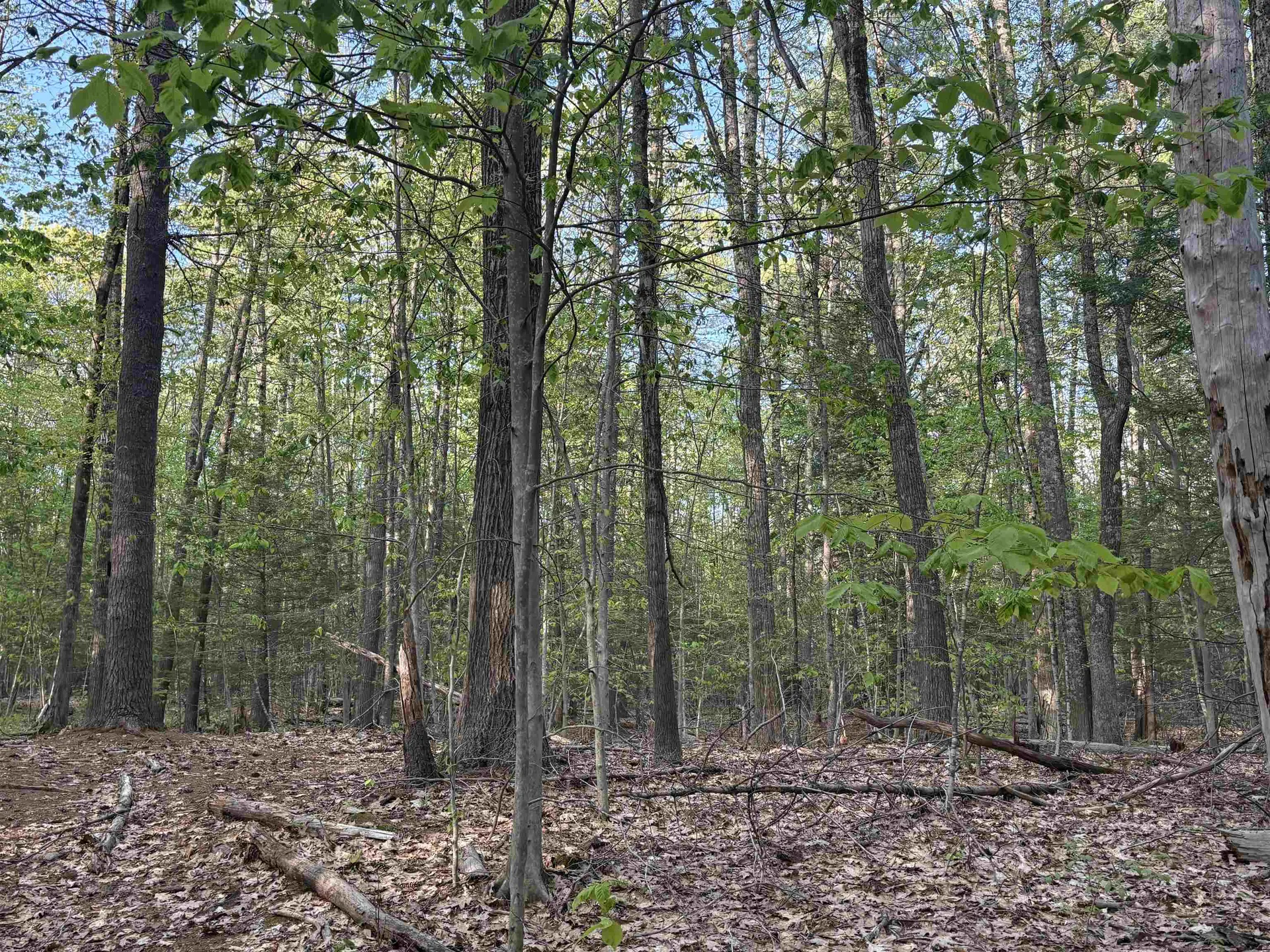 Lot 80 Currier Road Candia NH 03034