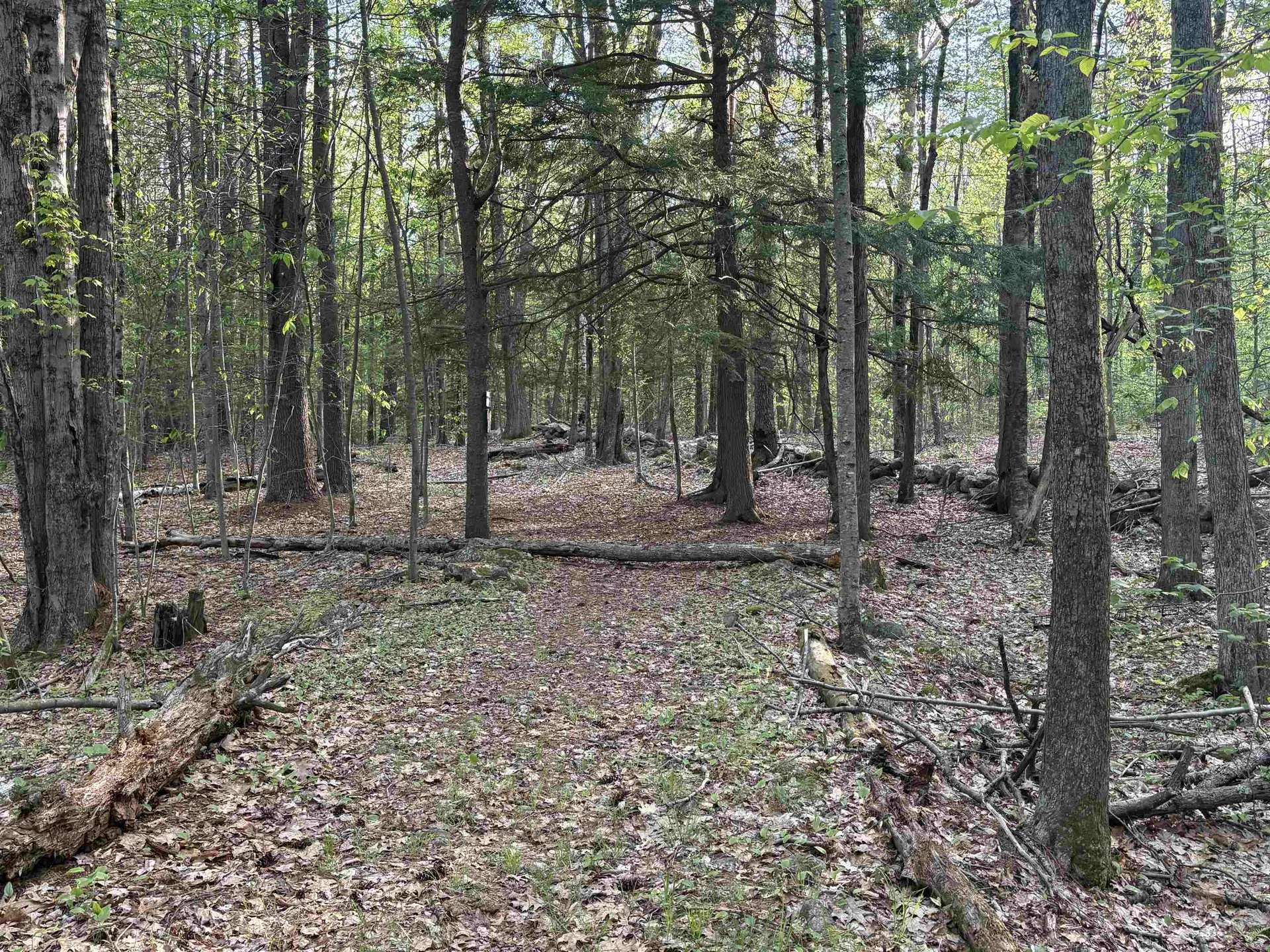 Lot 80 Currier Road Candia NH 03034