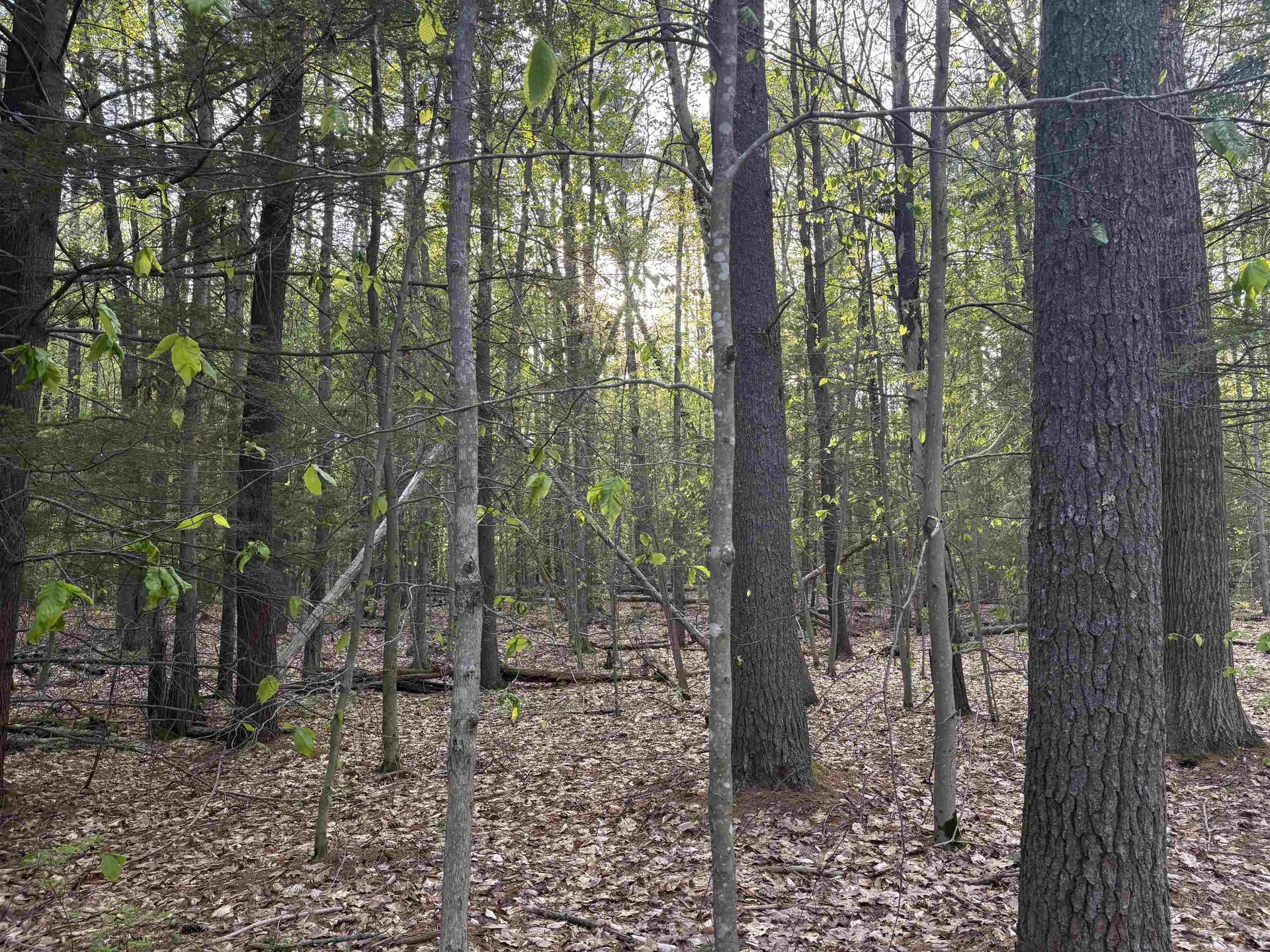 Lot 80 Currier Road Candia NH 03034