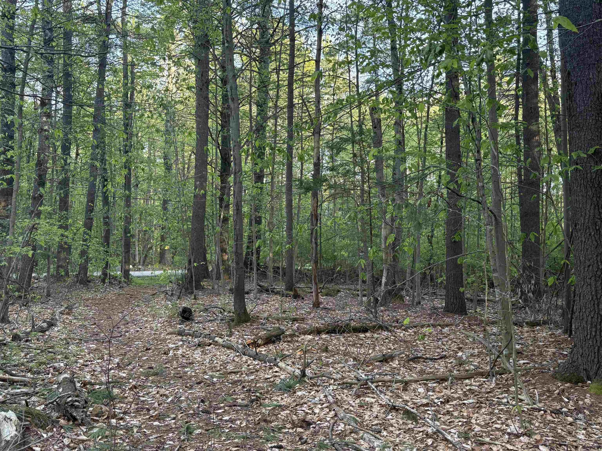 Lot 80 Currier Road Candia NH 03034