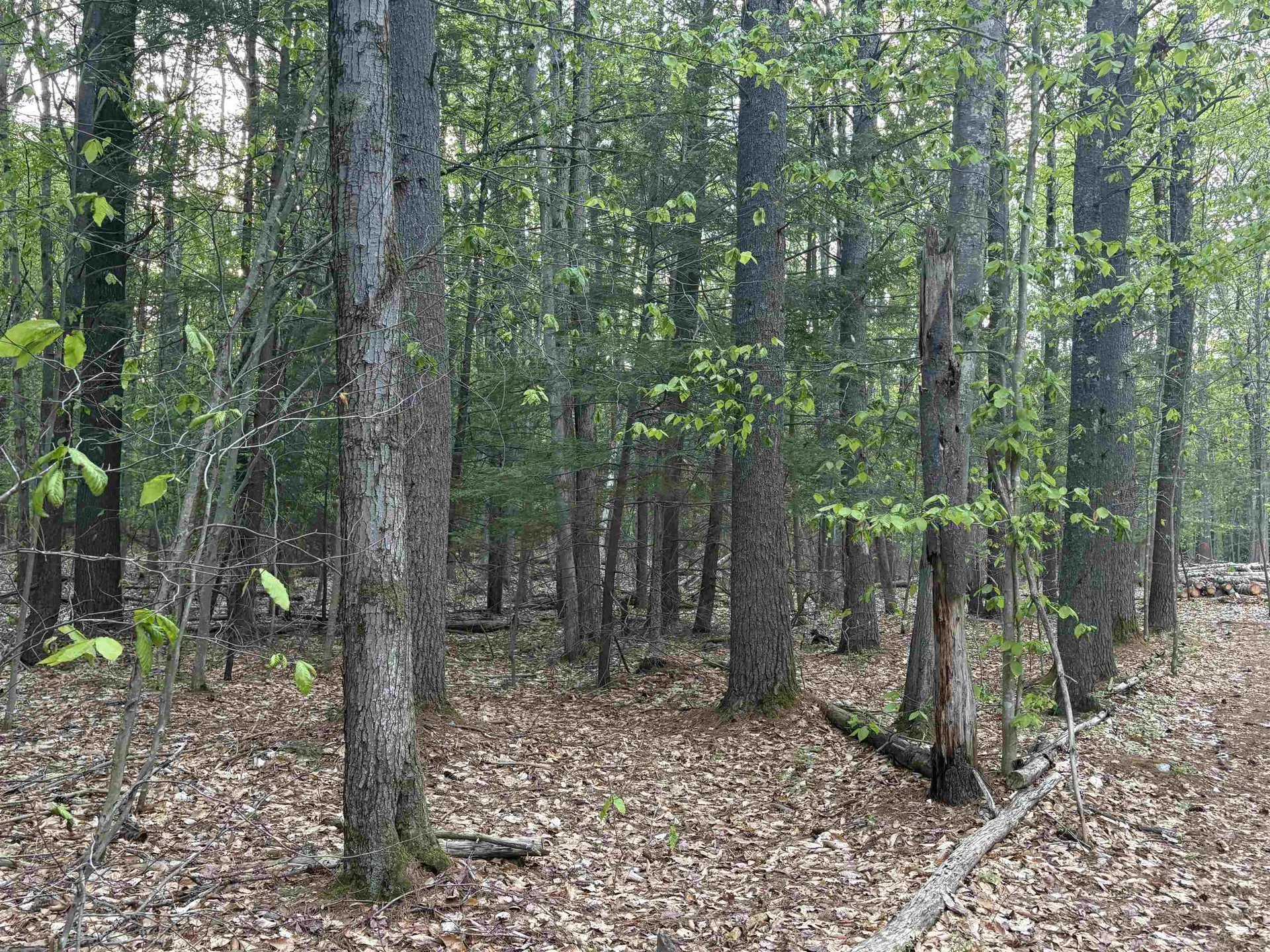 Lot 80 Currier Road Candia NH 03034